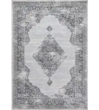 Dynamic Rugs ANCIENT GARDEN 57557  Area Rugs